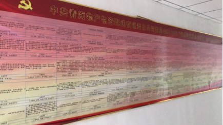 物產(chǎn)配送公司黨委“黨的建設重點強化年”活動2018年工作任務、組織保障具體化